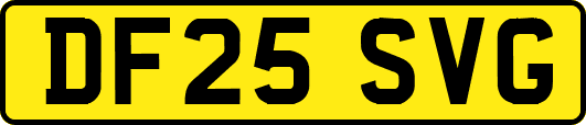 DF25SVG