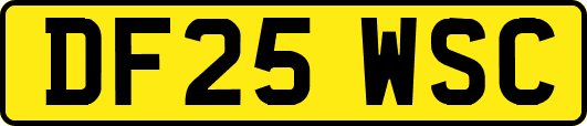 DF25WSC