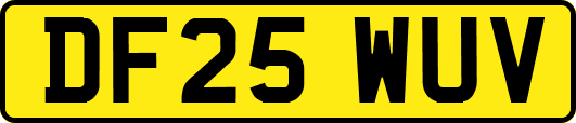 DF25WUV