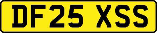 DF25XSS