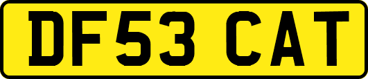 DF53CAT