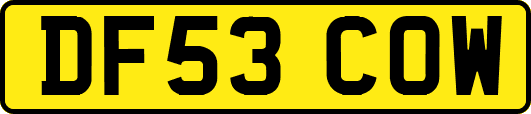 DF53COW