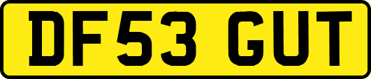 DF53GUT
