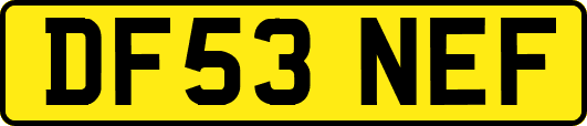 DF53NEF