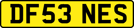 DF53NES