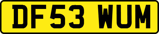 DF53WUM