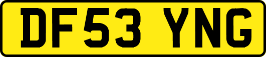 DF53YNG