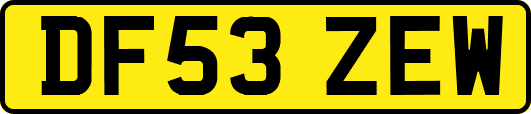 DF53ZEW