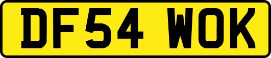 DF54WOK