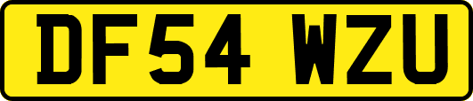 DF54WZU