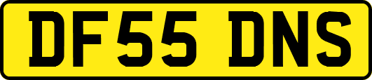 DF55DNS