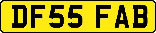 DF55FAB