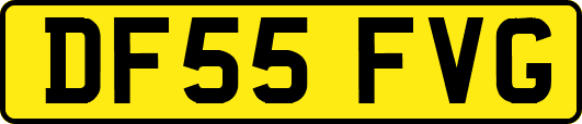 DF55FVG