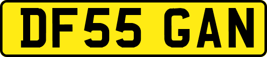 DF55GAN