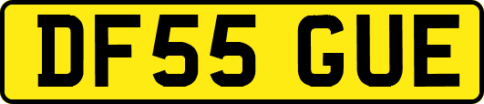 DF55GUE