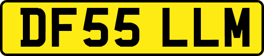 DF55LLM
