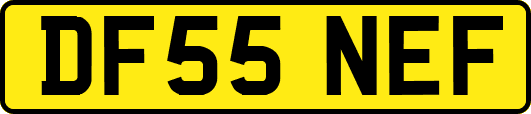 DF55NEF