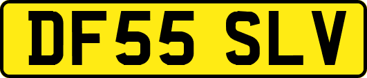 DF55SLV