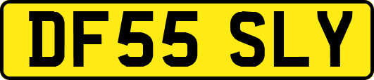 DF55SLY