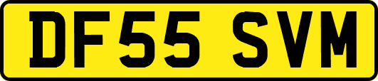 DF55SVM