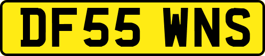 DF55WNS