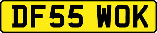 DF55WOK