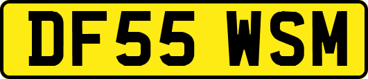 DF55WSM