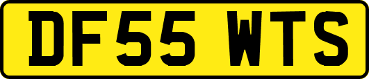 DF55WTS