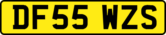 DF55WZS