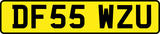 DF55WZU