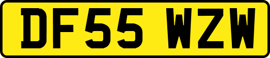 DF55WZW