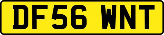 DF56WNT