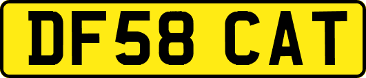 DF58CAT