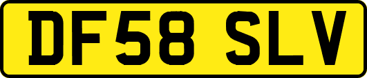 DF58SLV
