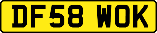 DF58WOK