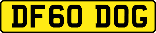 DF60DOG