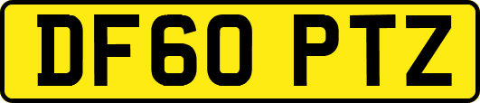 DF60PTZ
