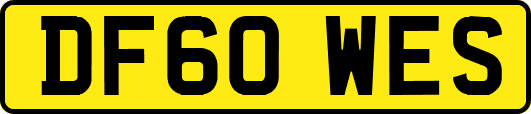 DF60WES