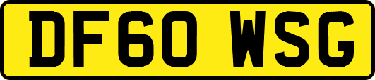 DF60WSG