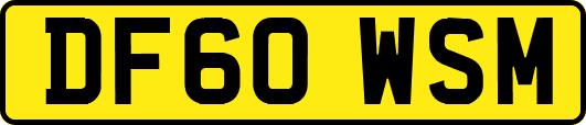 DF60WSM