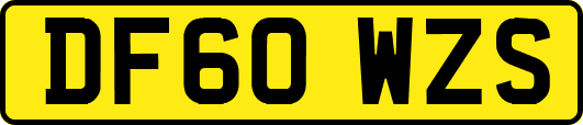 DF60WZS