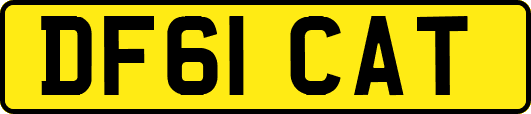 DF61CAT