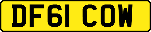 DF61COW