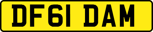 DF61DAM