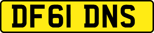 DF61DNS