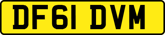 DF61DVM