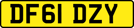 DF61DZY