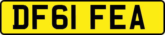 DF61FEA
