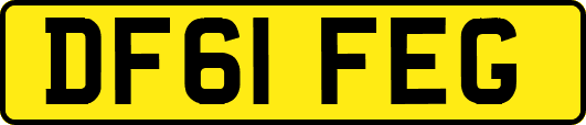DF61FEG
