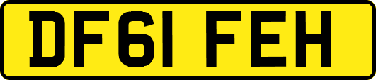 DF61FEH